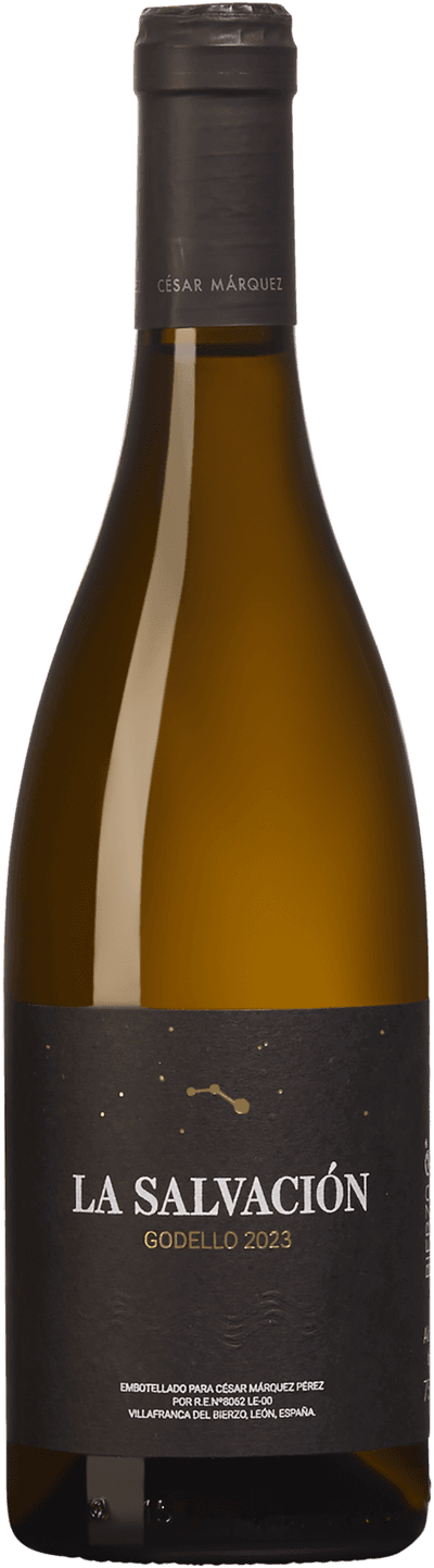 La Salvación Godello – Spanien
